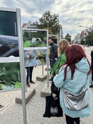 Delegacja z Mołdawii z wizytą w UM 2024