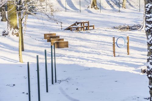 Park przy Gdańskiej "Małpi Gaj" - elementy rekreacyjne